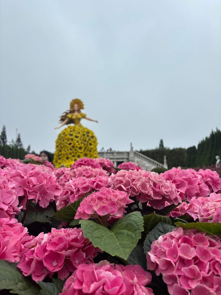 Nhà vườn Trưng Nữ Vương Đà Nẵng 243m² giá 12 tỷ - Vị trí đắc địa, không ngập nước!