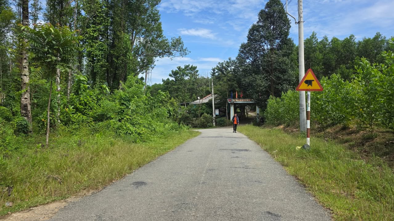 Đất mặt tiền Thôn Hòa Hợp, xã Bình Điền 230m² giá 700 triệu - Tiềm năng đầu tư lớn!