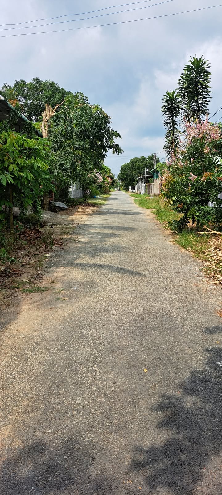 Đất nền Tân Hà, Đức Linh 440m² giá 850 triệu - Nơi an cư lý tưởng!