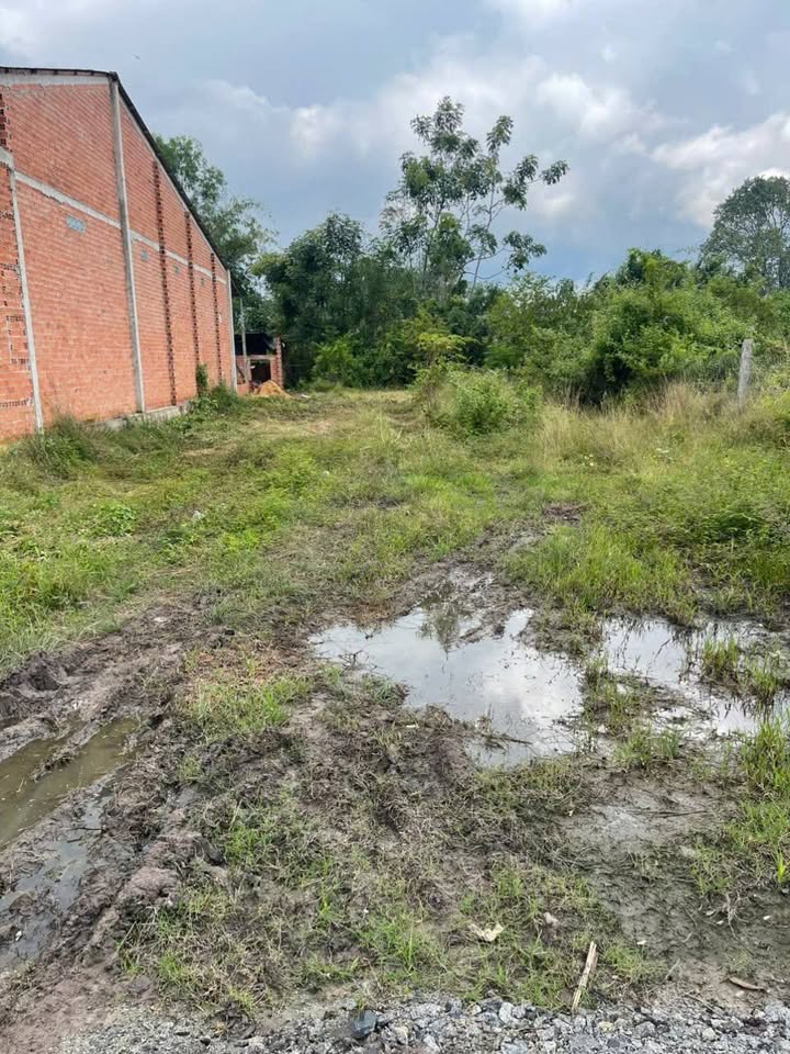 Đất nền Lộc Chánh, An Tịnh 50m² giá 430 triệu - Đầu tư sinh lời ngay!