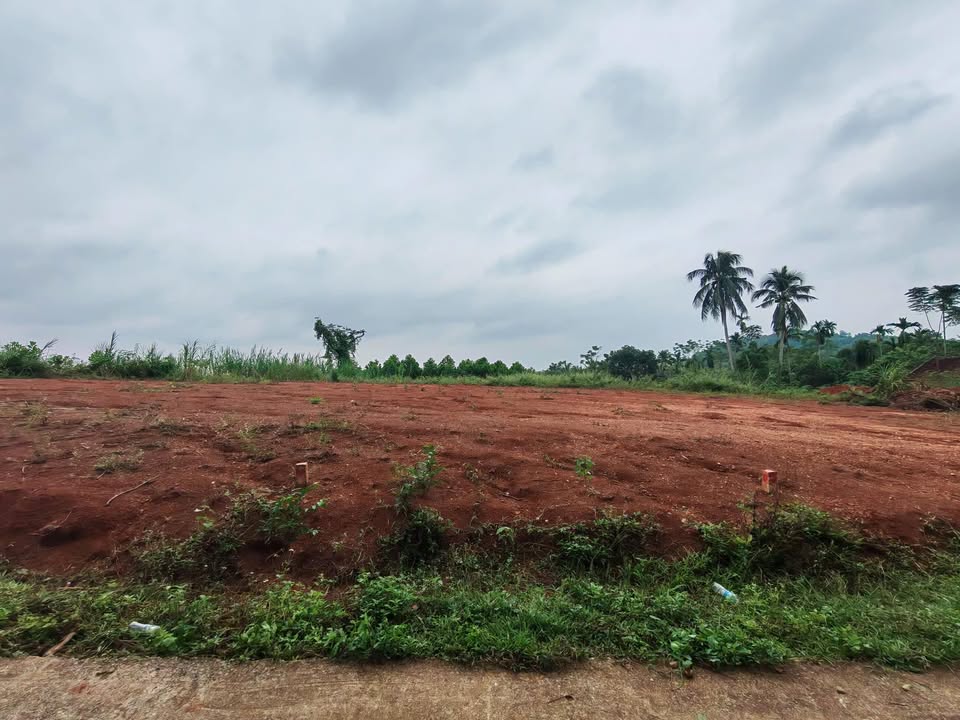 Đất nền Ngọc Lặc 1450m² giá 100 triệu - Cơ hội đầu tư tuyệt vời!