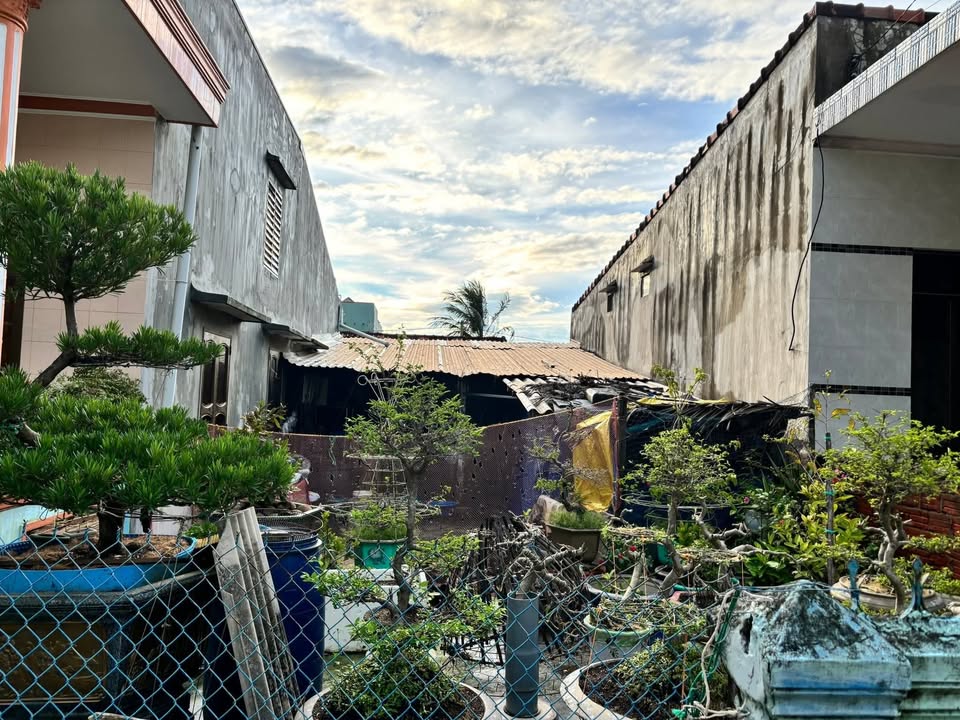 Đất thổ cư 94.35m² tại Thạnh Xuân Bắc, Hoài Nhơn - Gần biển, giá 600 triệu