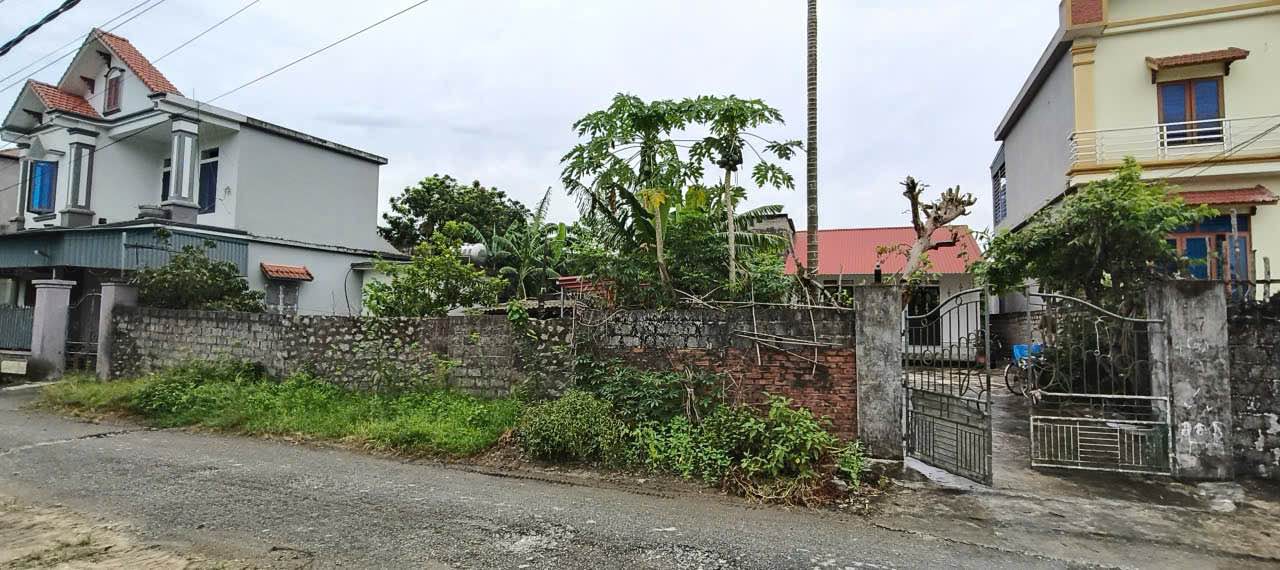 Bán đất Nho Quan Ninh Bình 120m² giá 700 triệu - Đất đẹp, vị trí đắc địa!