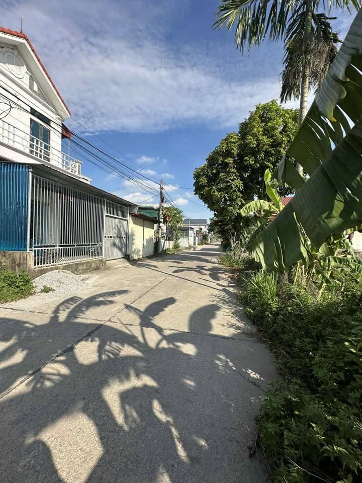 Đất nền Yên Hòa Yên Mô 162m² giá 1.4 tỷ - Cơ hội đầu tư tuyệt vời!