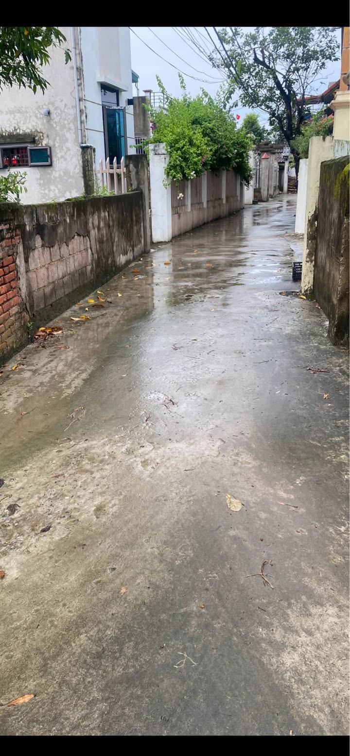 Đất thổ cư Yên Từ, Yên Mô 121m² giá 6 tỷ - Cơ hội đầu tư tuyệt vời!