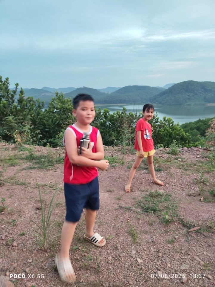 Đất nền Quỳnh Lưu 7800m² - Cơ hội đầu tư hấp dẫn!