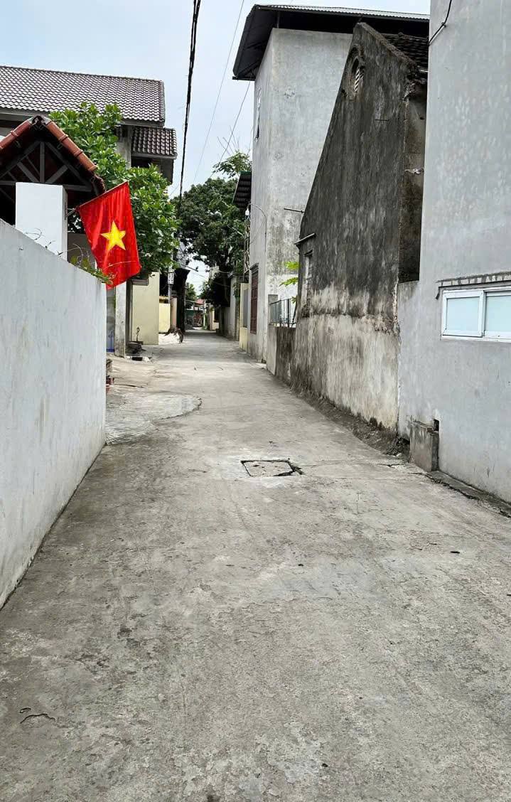 Đất Nền Nguyễn Bặc, Ninh Khánh 60m² giá 3 tỷ - Vị trí đắc địa gần Phố Cổ!