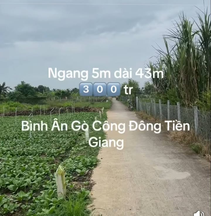 Đất nền Bình Ân Gò Công Đông 218m² giá 300 triệu - Đường xe hơi thông thoáng!