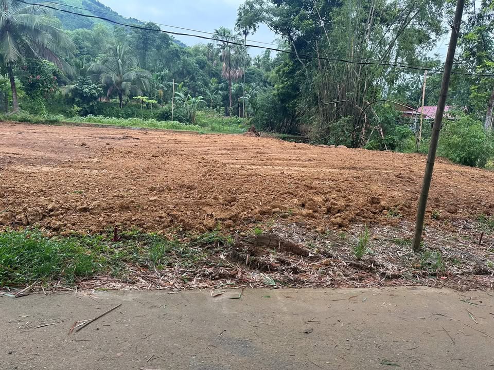 Đất nền liền kề Hưng Sơn, Ngọc Lặc, 142m² - Mặt tiền 5m, đầu tư sinh lời