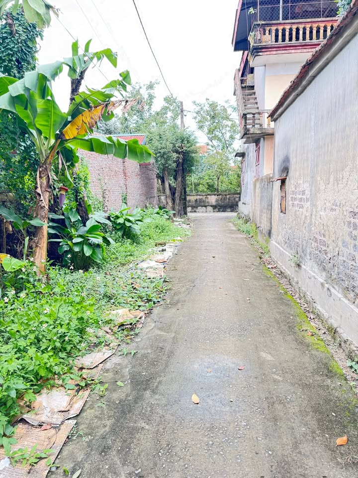 Đất thổ cư 90m² tại Tổ 7, thị trấn Lâm - Giá chỉ 850 triệu, đầu tư sinh lời!