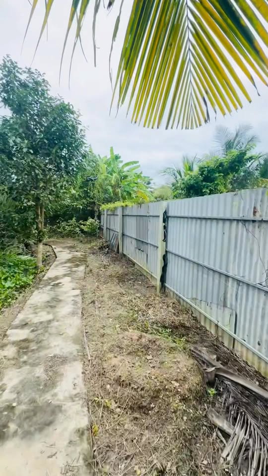 Đất vườn Mỹ Thới, Long Xuyên 2843m² giá 3 tỷ - Đầu tư sinh lời ngay!