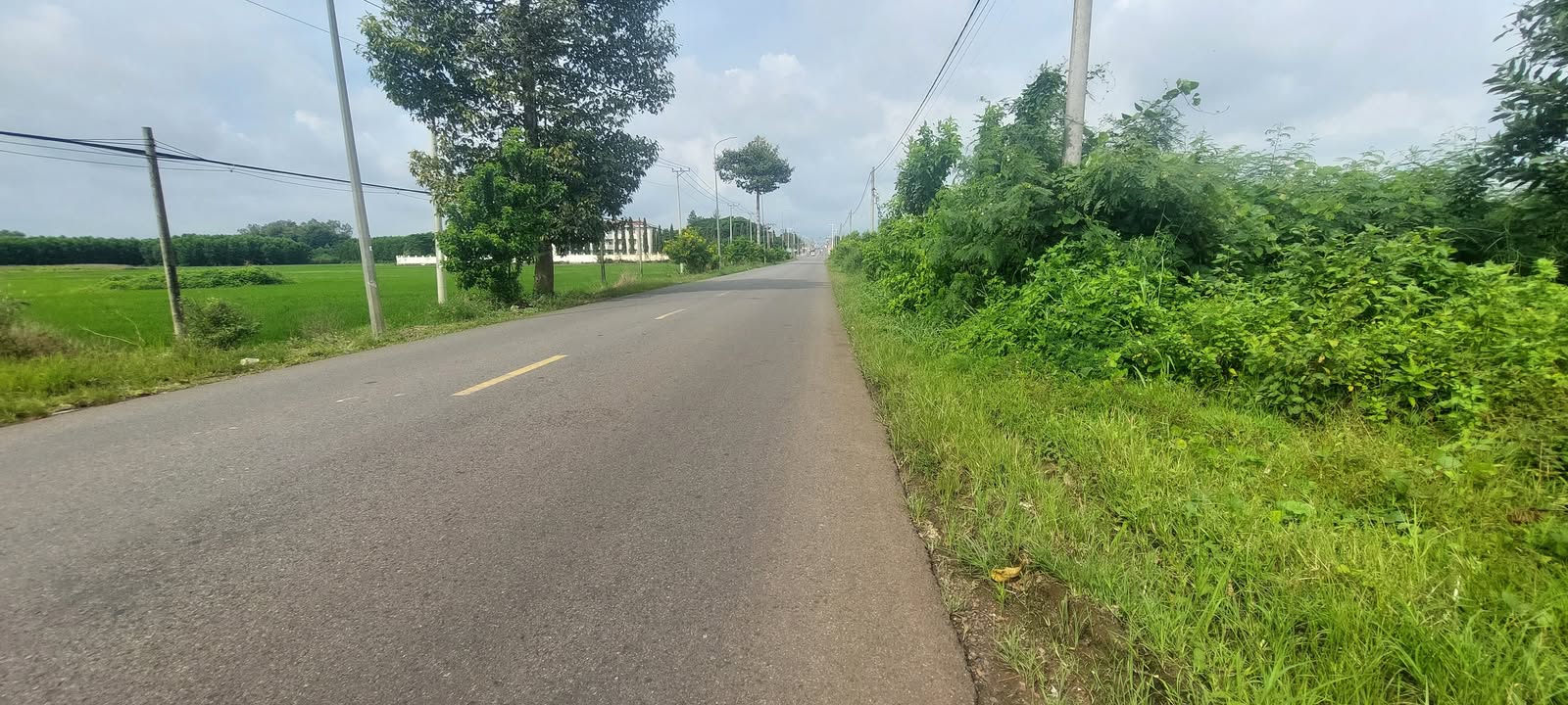 Đất nền 1040m² tại xã Bình Trung, Châu Đức, Bà Rịa - Vũng Tàu giá 5 tỷ - Cơ hội đầu tư lớn!