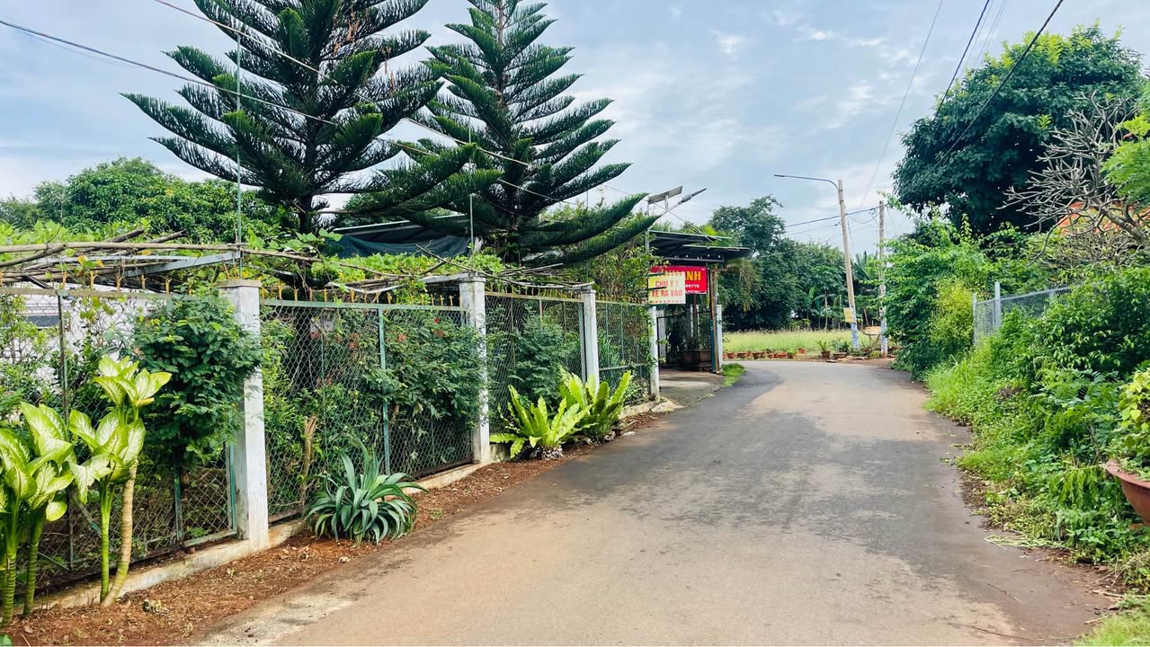 Đất nền mặt tiền Nguyễn Thị Định, Thị trấn Đất Đỏ 550m² giá 2.2 tỷ - Đầu tư sinh lời ngay!