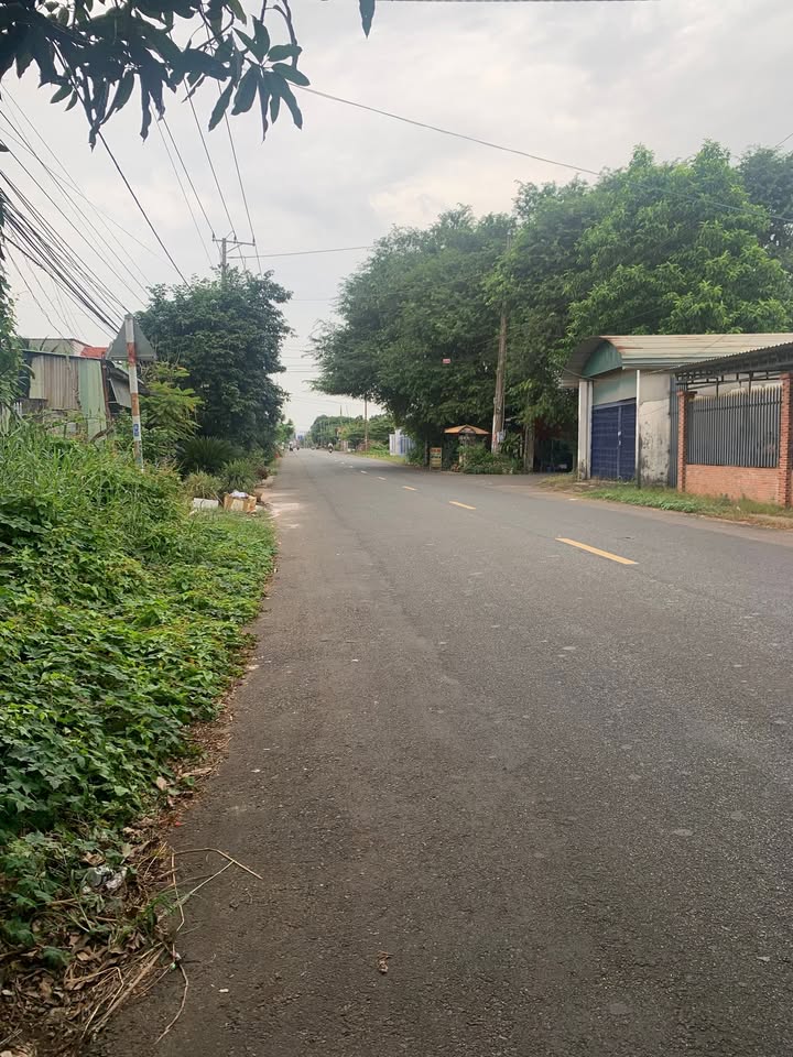 Đất nền Long Phước 377m² giá thỏa thuận - Đầu tư sinh lời ngay!