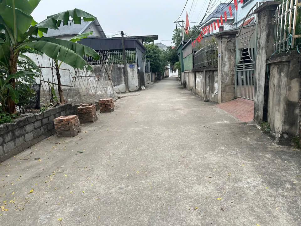 Đất phân lô Thư Phú, Thường Tín 43.8m² giá 3.51 tỷ - Đầu tư sinh lời ngay!