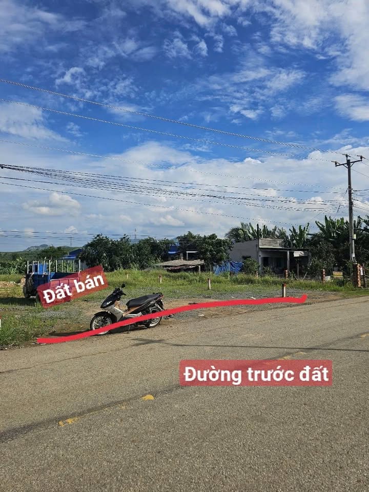 Đất nền Sông Phan - Hàm Tân 5961m² giá 5.5 tỷ - Pháp lý rõ ràng, cơ hội đầu tư sinh lời!