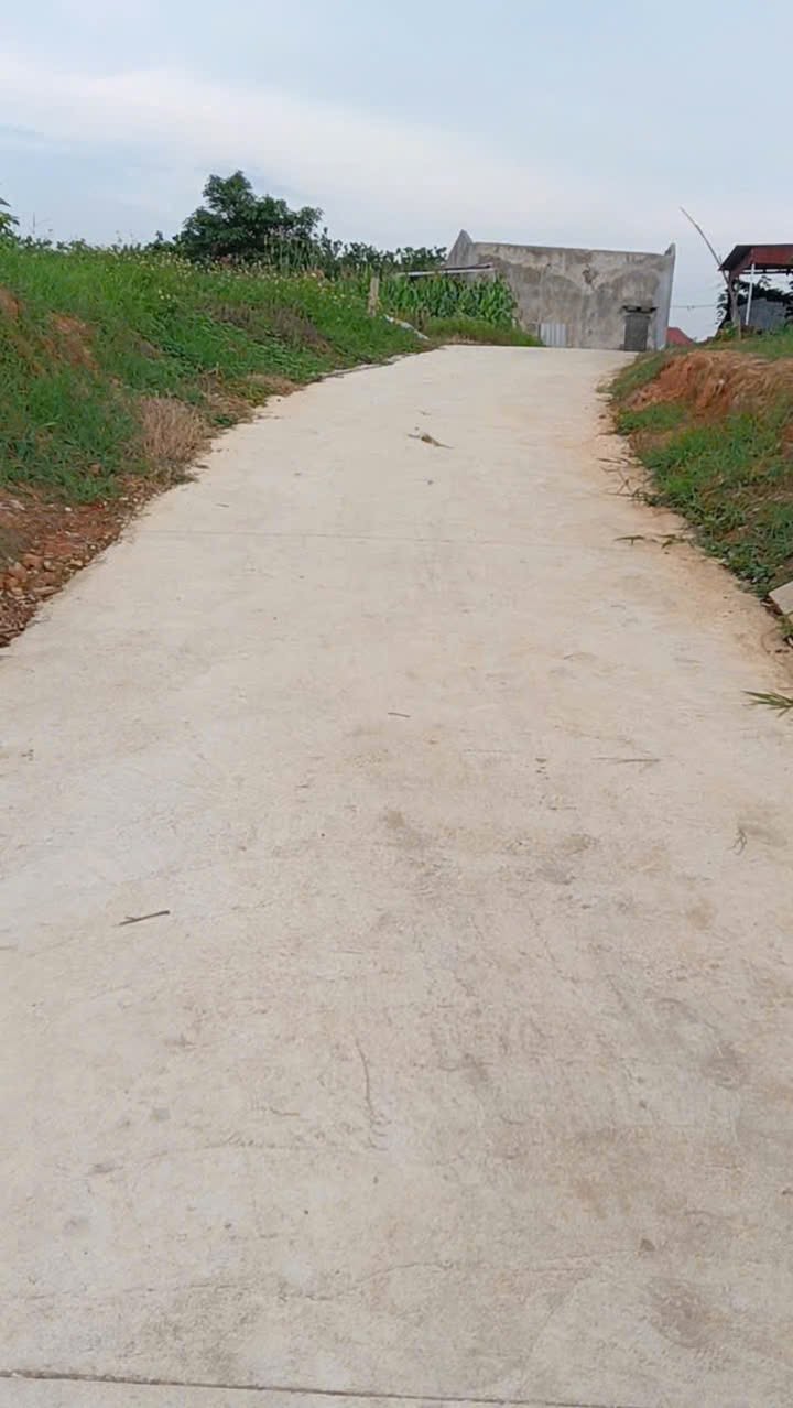 Mảnh vườn Farm tại Mỹ An Lục Ngạn 1146m² giá thỏa thuận - Thế đất bằng phẳng tuyệt đẹp!