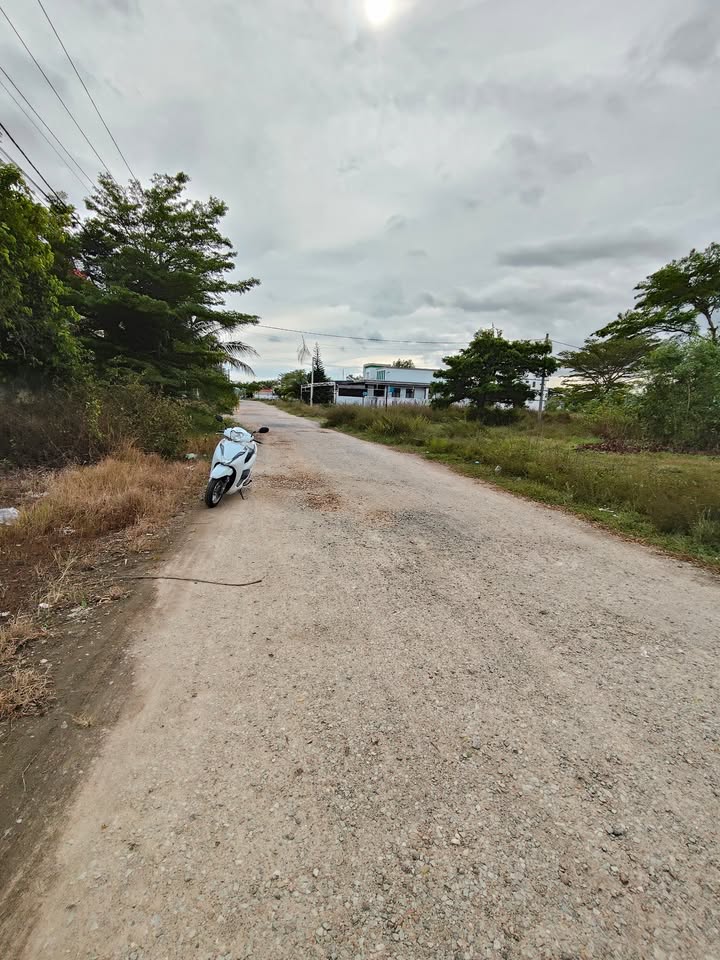 Lô đất thổ cư 100m² đường Số 2, La Gi - Giá chỉ 1 tỷ!