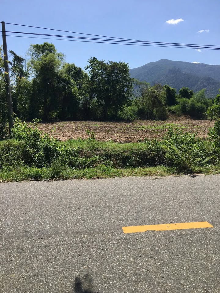 Đất nền Bác Ái Đông 3185m² giá 550 triệu - Cơ hội đầu tư sinh lời cao!