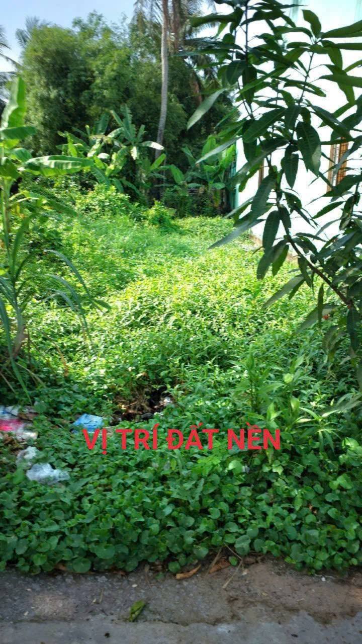 Đất nền Rạch Giá 140m² giá 650 triệu - Đường ô tô tới đất!