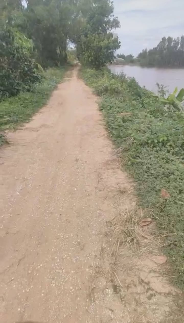 Đất mặt tiền 35m Tân Công Sính 20.000m² giá 2.6 tỷ - Tiềm năng đầu tư lớn!