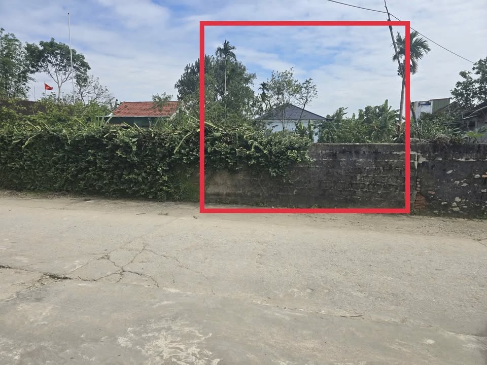 Đất thổ cư xóm 5, xã Tăng Thành, 175m² - Mặt tiền 7m, thuận tiện kinh doanh!