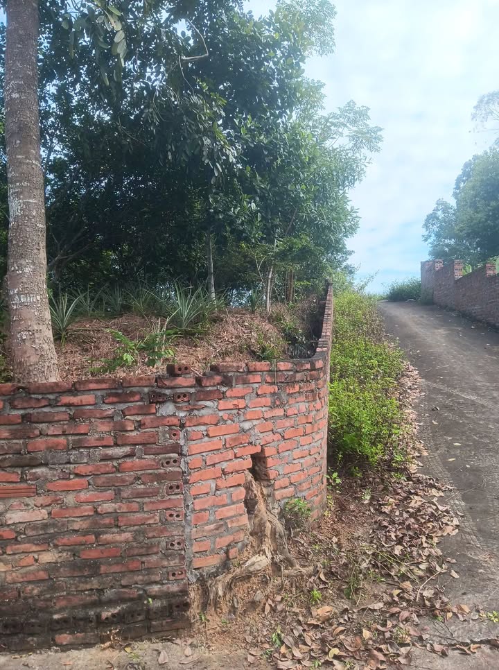 Đất thổ cư 100m² Lâm Thao 1080m² giá 2 tỷ - Vị trí đắc địa, tiện ích hoàn hảo!