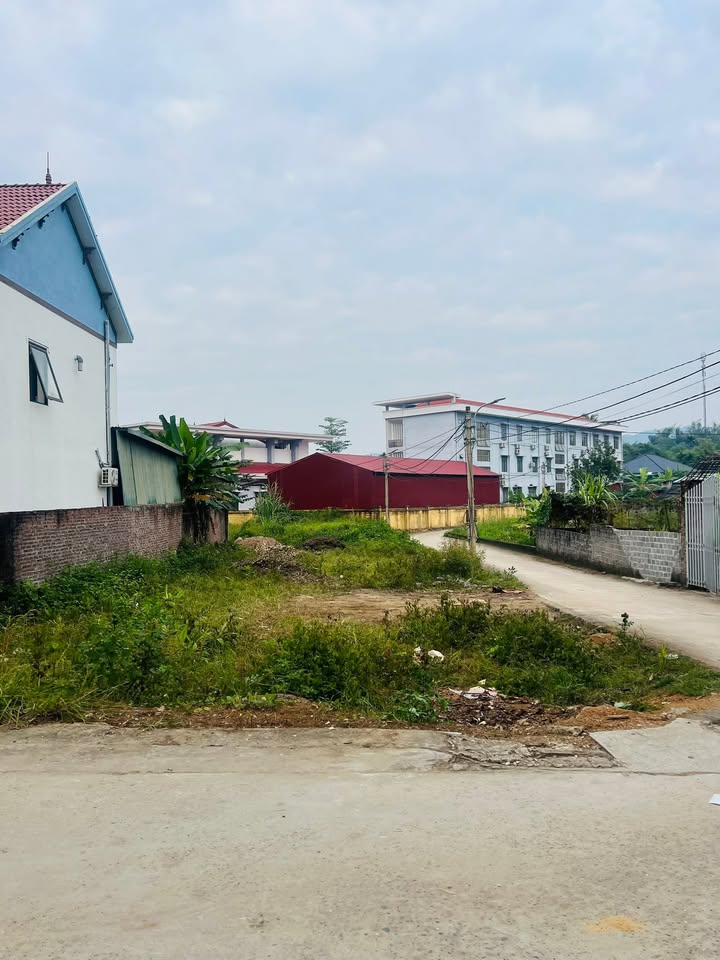 Đất nền Tân Hoà, Tam Dương 760m² - Mặt tiền đường rộng 60m, giá thỏa thuận!