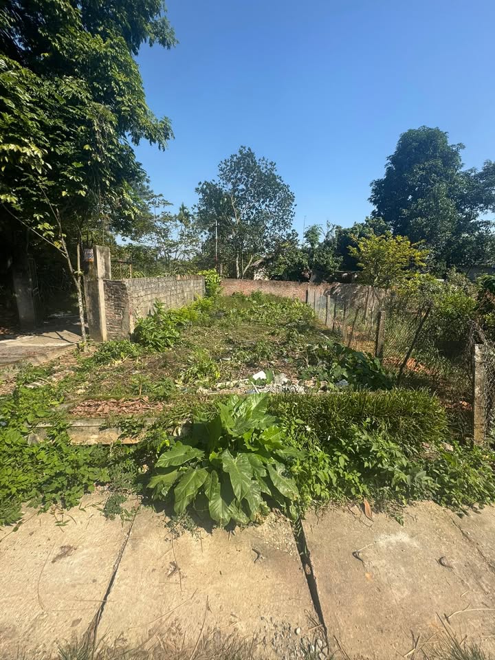 Đất nền khu 8 xã Hà Lộc, Phú Thọ 90m² - Cơ hội đầu tư tuyệt vời!