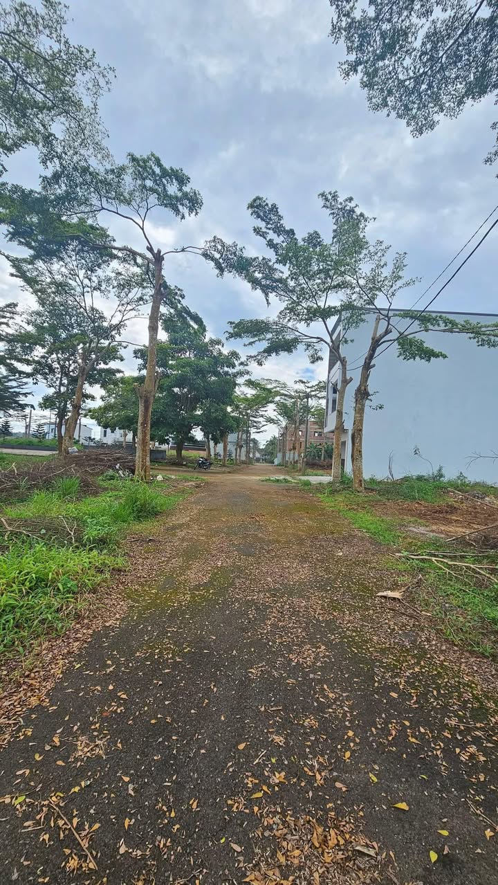 Đất nền Lộc Sơn, Bảo Lộc 101,85m² giá chỉ 3,1 tỷ - Cơ hội đầu tư tốt!