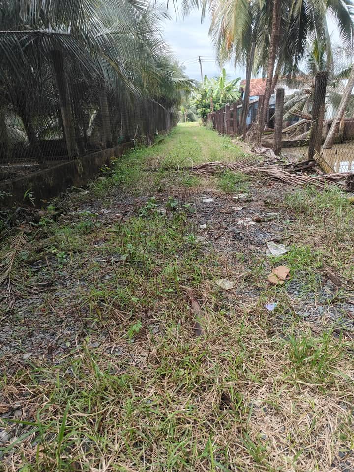 Đất nền 10,800m² tại xã Bình Ninh, huyện Chợ Gạo, giá 9.7 tỷ - Tiềm năng đầu tư lớn!