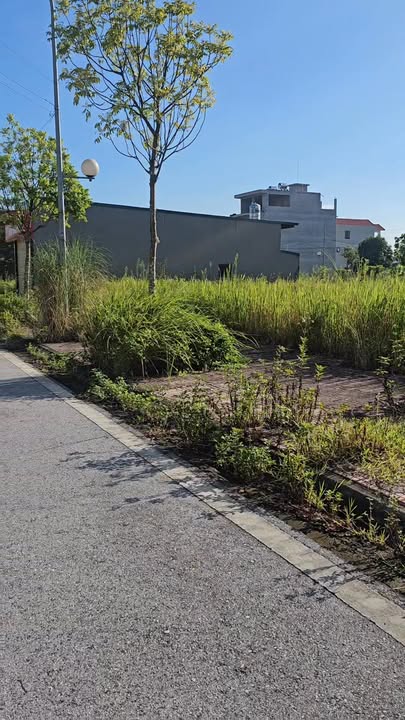 Đất nền khu đô thị VISIP Lương Điền, Cẩm Giàng 74m² giá 2 tỷ - Cơ hội đầu tư hấp dẫn!