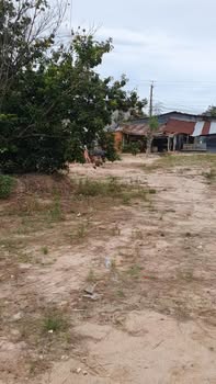 Đất 2 mặt tiền Châu Thành Tây Ninh 1440m² giá 16.4 tỷ - Khu buôn bán sầm uất!