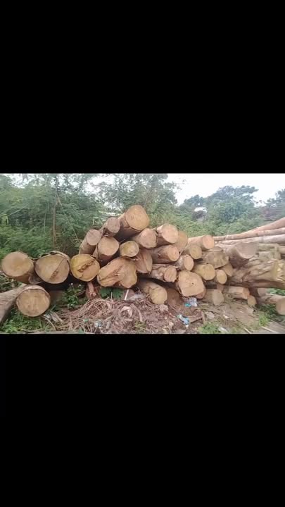 Đất nền tại Khối Chế Biến Lâm Sản 3, Thái Hòa - Diện tích 147m², Giá thỏa thuận - Đầu tư sinh lời cao!