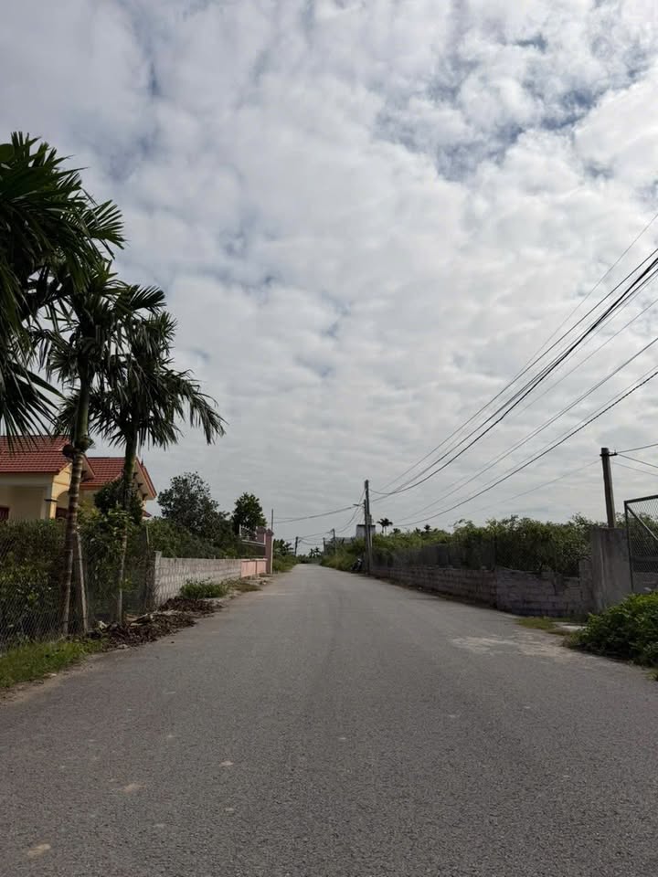 Nhà vườn Bàng Đông, Đồ Sơn, Hải Phòng 375m² giá chỉ 2 tỷ - Cơ hội sở hữu tuyệt vời!