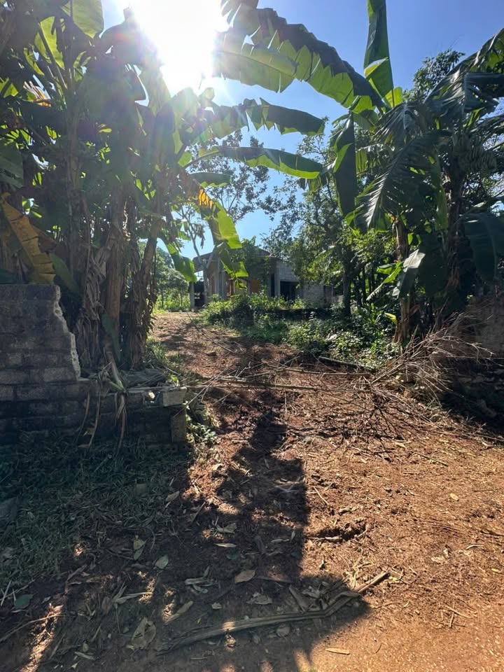 Đất Vân Du Thạch Thành 1000m² giá 600 triệu - View hồ thoáng mát!