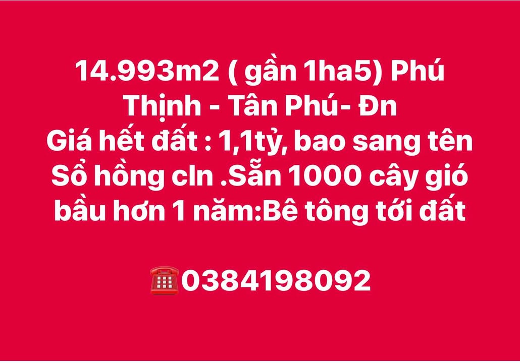 Đất nền 14.993m² Phú Thịnh, Tân Phú, Đồng Nai giá 1,1 tỷ - Sổ hồng chính chủ!