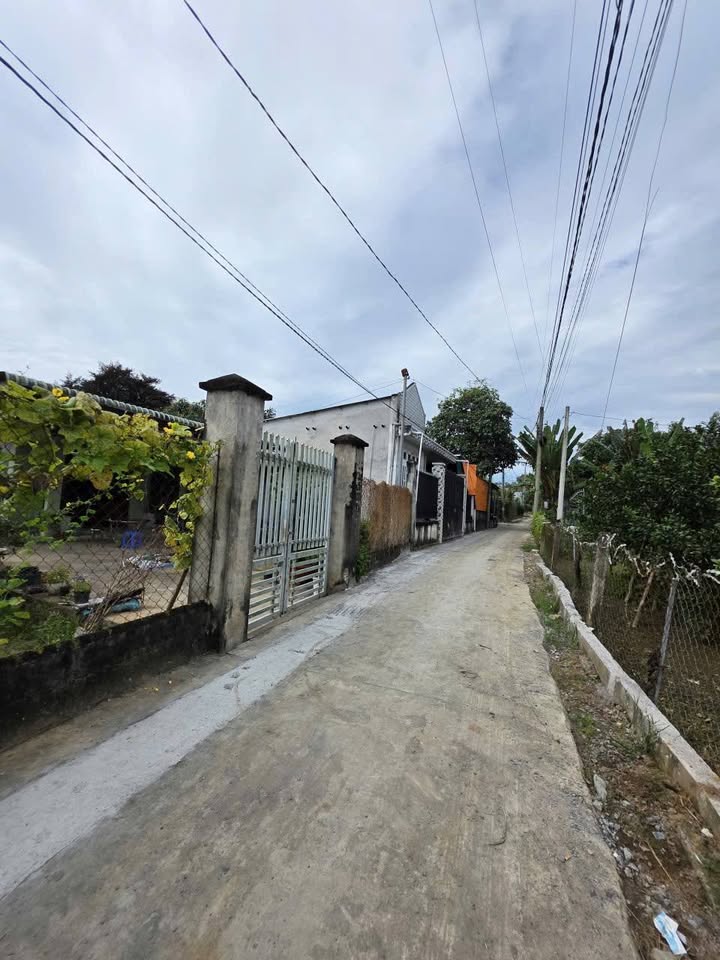 Đất nền Bình Lợi Vĩnh Cửu 449m² giá 1.05 tỷ - Sổ đỏ chính chủ, xây dựng tự do!