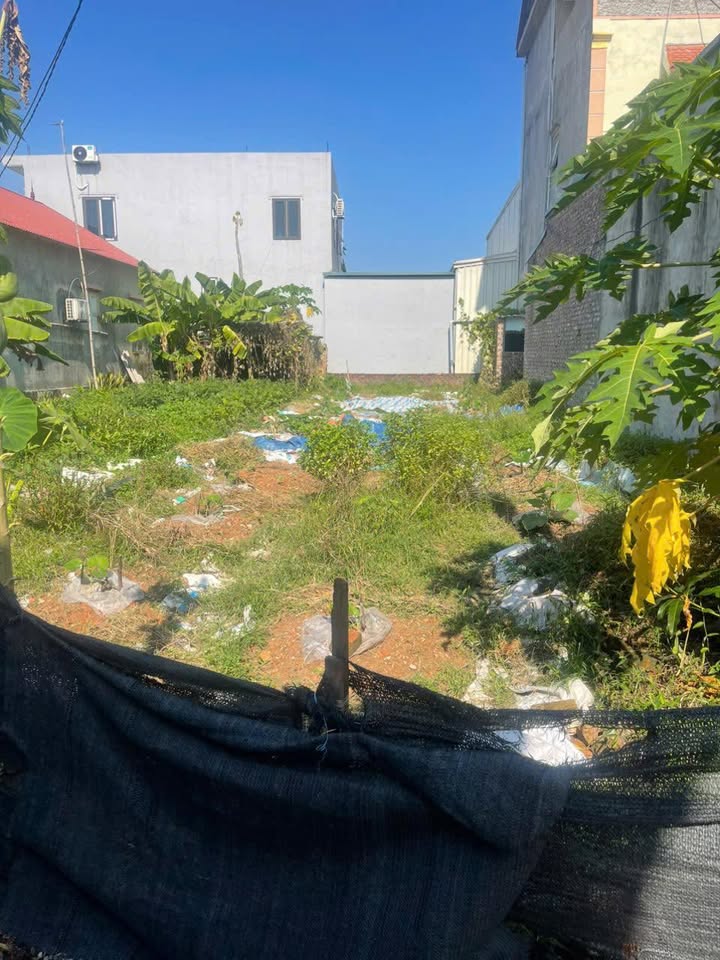 Đất nền Hiền Ninh, Sóc Sơn 120m² giá 2.4 tỷ - Đường ô tô, cơ hội đầu tư tuyệt vời!