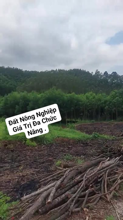 Đất trang trại Văn Hán Đồng Hỷ 8ha giá thỏa thuận - Đầu tư sinh lời lý tưởng!