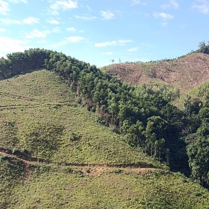 Đất Farm Sảng Mộc, Võ Nhai 7ha giá 1.5 tỷ - Đầu tư sinh lời ngay!