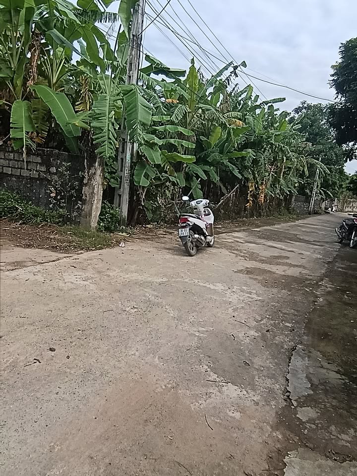 Đất nền Yên Ninh, Yên Định 156m² chỉ từ 400 triệu - Vị trí đắc địa gần ủy ban và chợ!