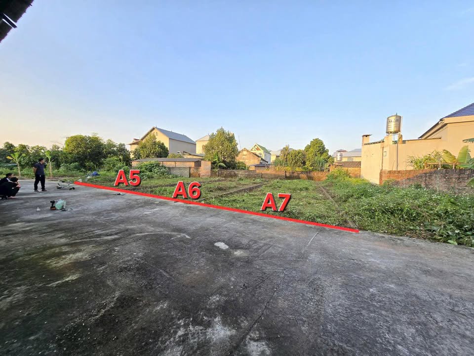 3 Lô Đất Bảo Phác, Tam Đảo 100m² giá chỉ 600 triệu - Đầu tư sinh lời ngay!