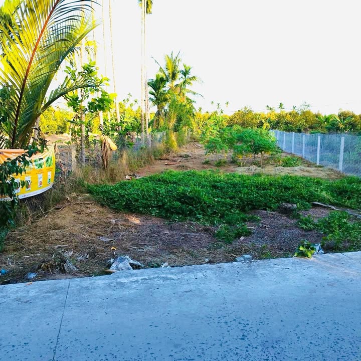 Đất thổ cư Nhơn Ái, Phong Điền 188,5m² giá 700 triệu - Bán chính chủ, lộ ô tô!