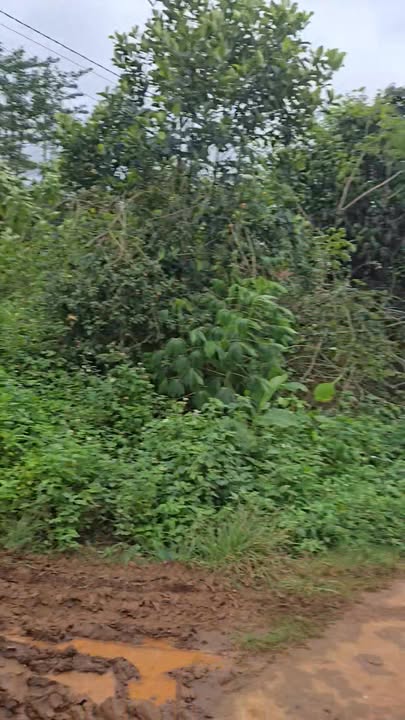 Đất nền 2 mặt tiền xã Ea Hồ, 200m² giá chỉ 360 triệu - Cơ hội đầu tư hấp dẫn!