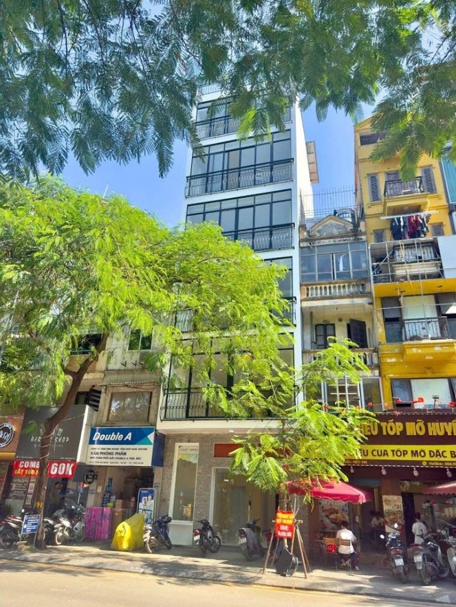 Nhà mặt phố Nguyễn Phong Sắc, Cầu Giấy 50m² giá 33.5 tỷ - Cơ hội đầu tư tuyệt vời!