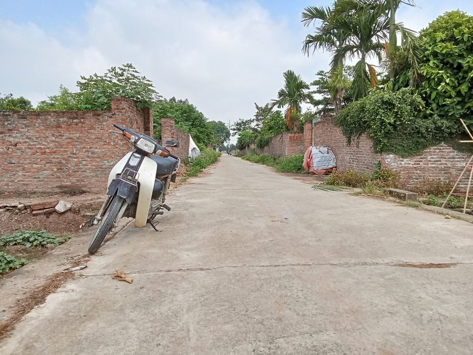 Đất nền 600m² tại xã Song Phương, Hoài Đức - Tiềm năng phát triển lớn!