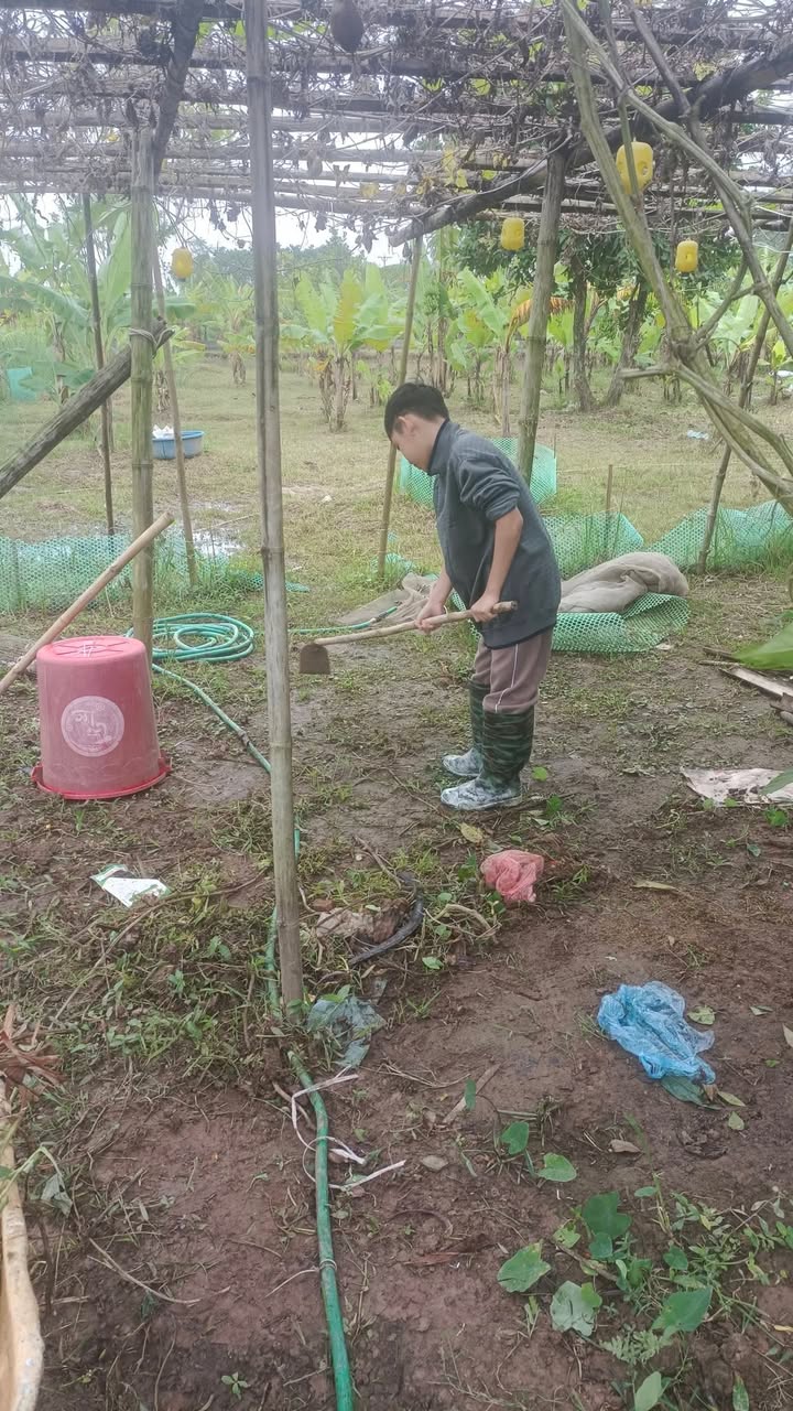 Đất đẹp Phú Thị, Gia Lâm 50m² giá 2 tỷ - Đầu tư sinh lời ngay!