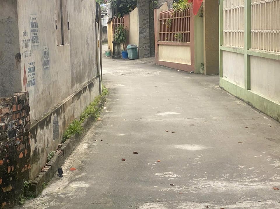 Đất nền Gia Đông, Thuận Thành 100m² giá chỉ từ 20 triệu - Cơ hội đầu tư hấp dẫn!