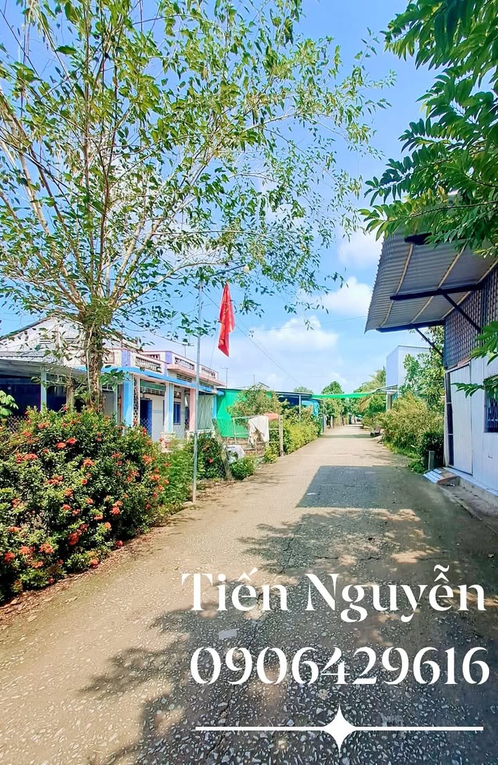 Bán vườn sầu riêng tại Thới Lai 9000m² giá 1.9 tỷ - Đầu tư sinh lời hấp dẫn!